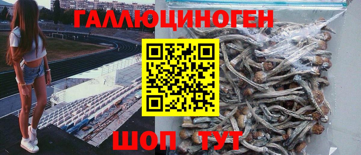 Псилоцибиновые грибы GOLDEN TEACHER  Вход с VPN  Отрадный 