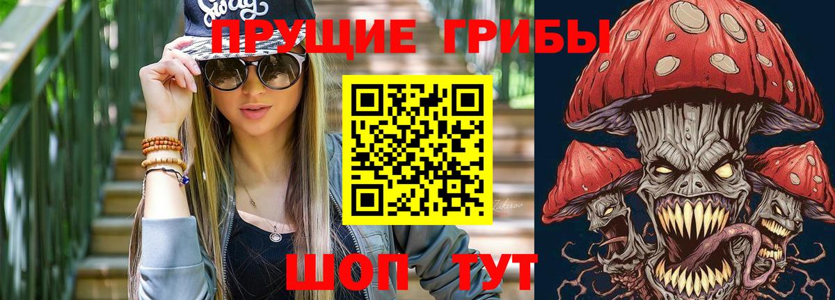 Псилоцибиновые грибы Psilocybe Отрадный